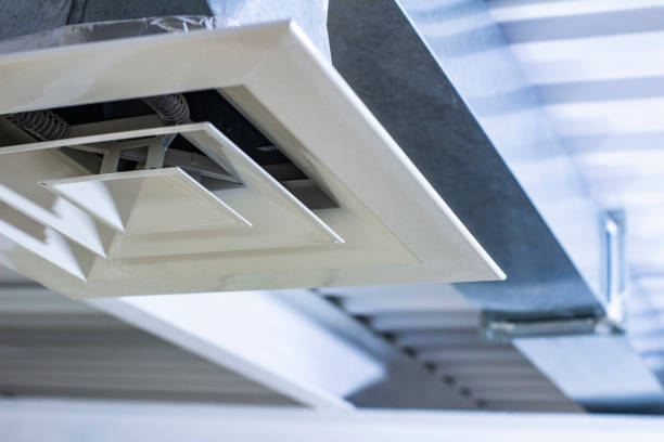 Best Air Duct Cleaning Near Me  in La Grulla, TX