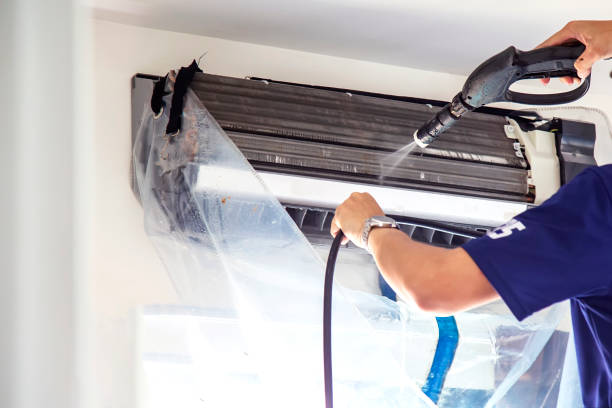 Best Air Duct Cleaning Near Me in La Grulla, TX