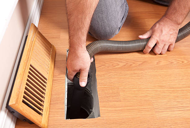 Best Ductwork Cleaning Services  in La Grulla, TX