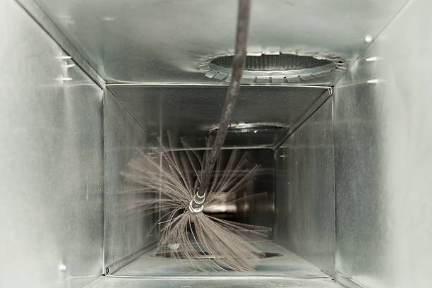 Best Affordable HVAC Duct Cleaning  in La Grulla, TX