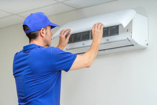 Best Home Air Vent Cleaning  in La Grulla, TX