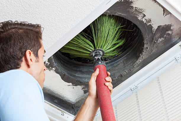 Professional Airduct Cleaning in La Grulla, TX