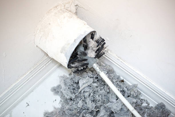 Best Emergency Air Duct Cleaning  in La Grulla, TX