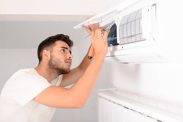 Best General Air Duct Cleaning  in La Grulla, TX